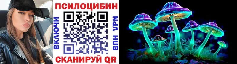 купить Павловск Псилоцибиновые грибы Cubensis